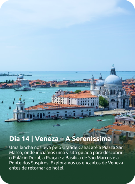 Dia 14
